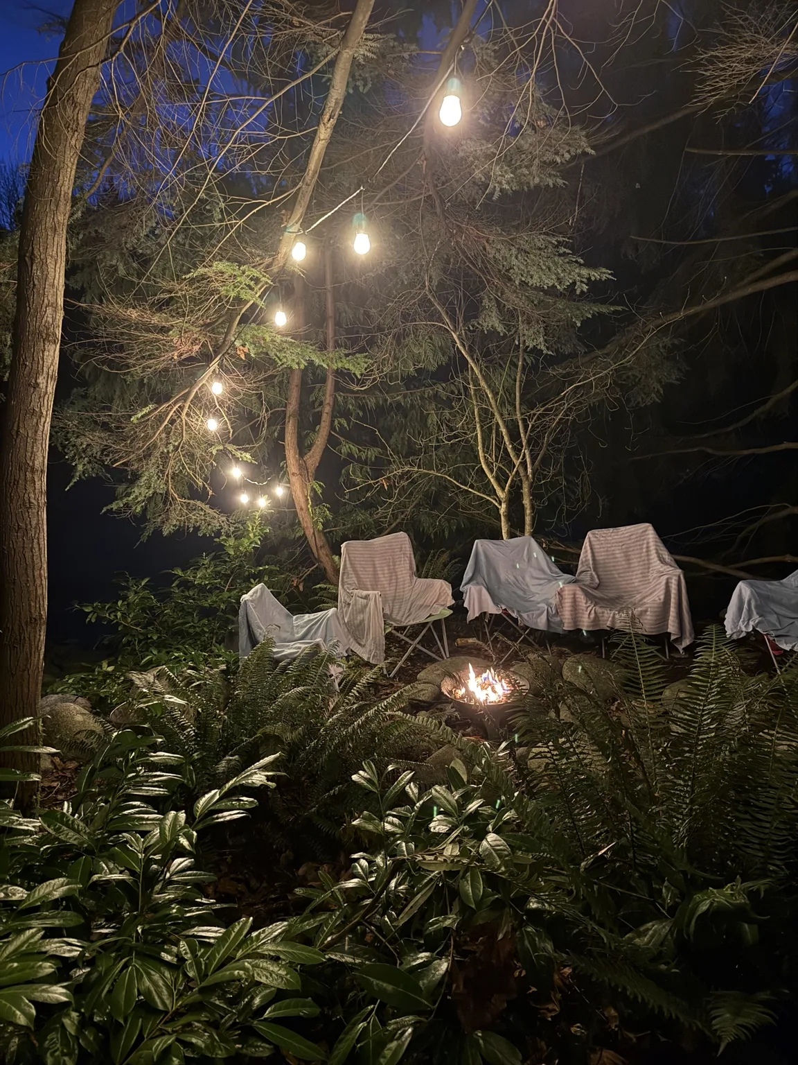 GÉTU night gathering in nature