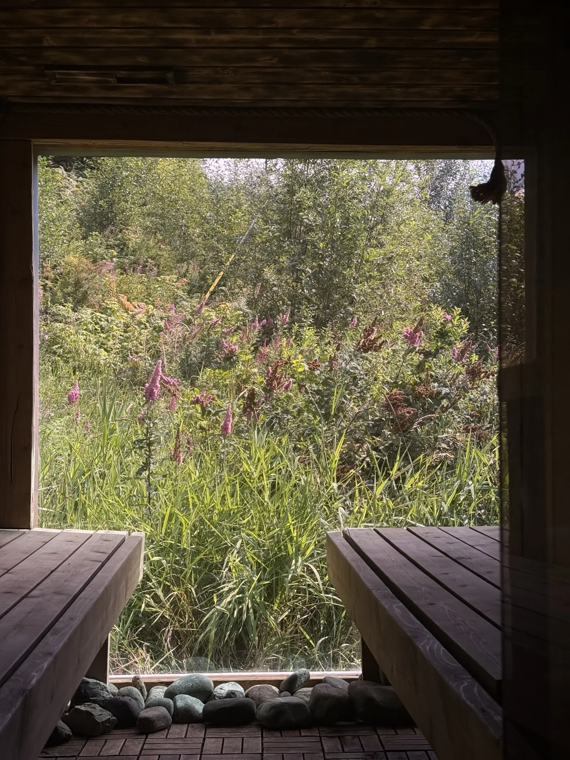 Panoramic sauna view in British Columbia