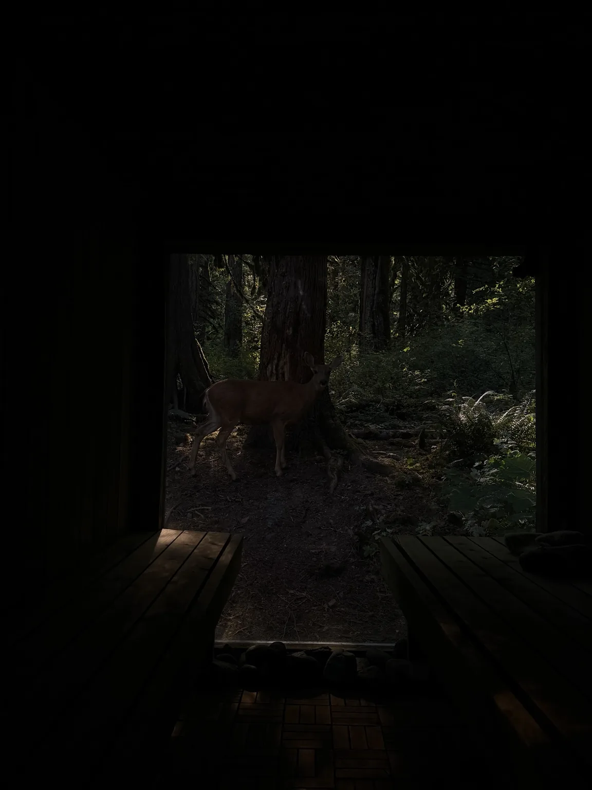 Panoramic sauna view in British Columbia