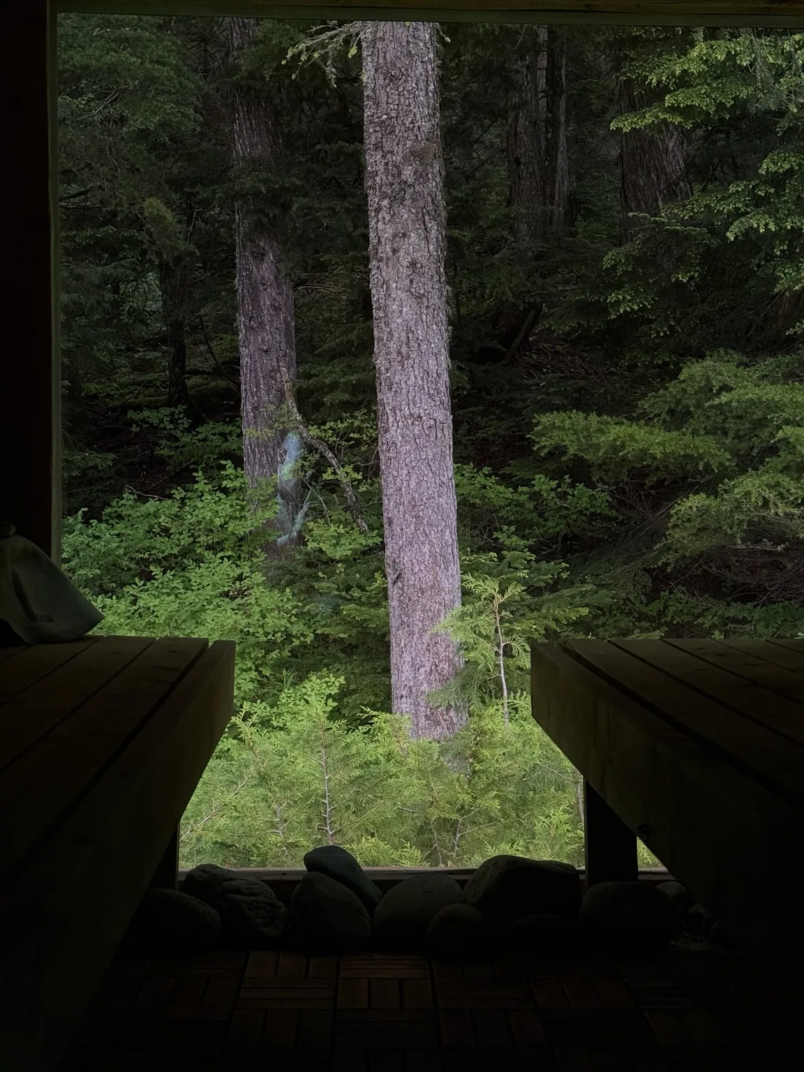 Panoramic sauna view in British Columbia