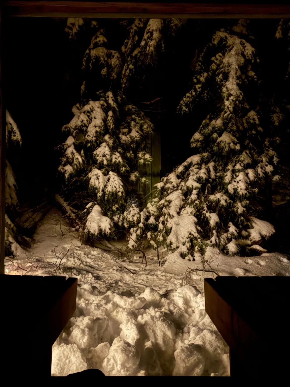 Panoramic sauna view in British Columbia