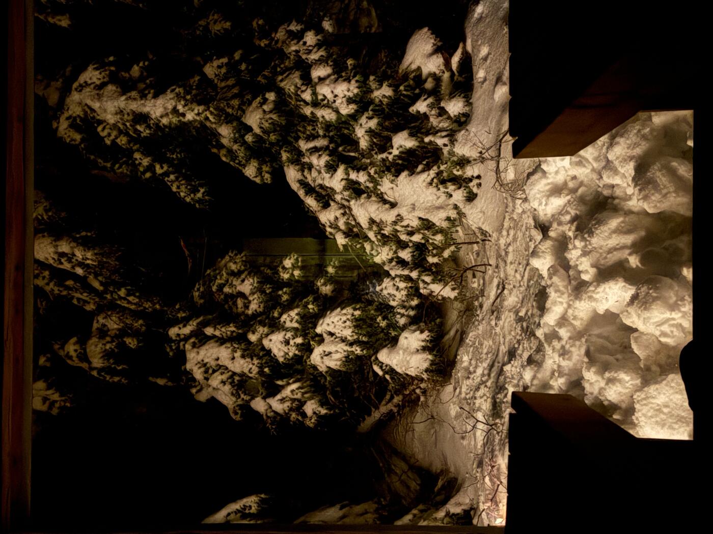 Winter wilderness
